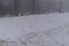 PHOTO-2023-02-17-13-43-01-4