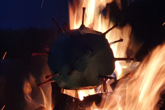 IMG-20210911-WA0020
